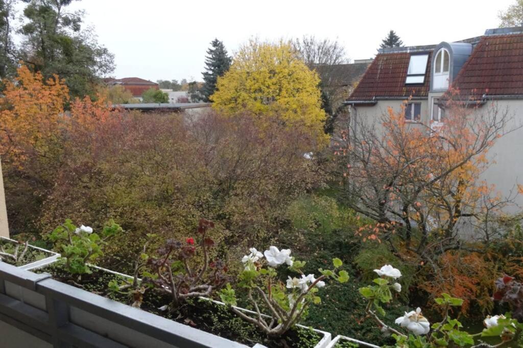 Schoene, Ruhige Wohnung In Berlin-Steglitz エクステリア 写真