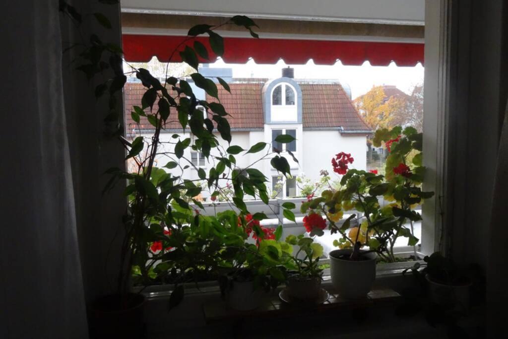 Schoene, Ruhige Wohnung In Berlin-Steglitz エクステリア 写真